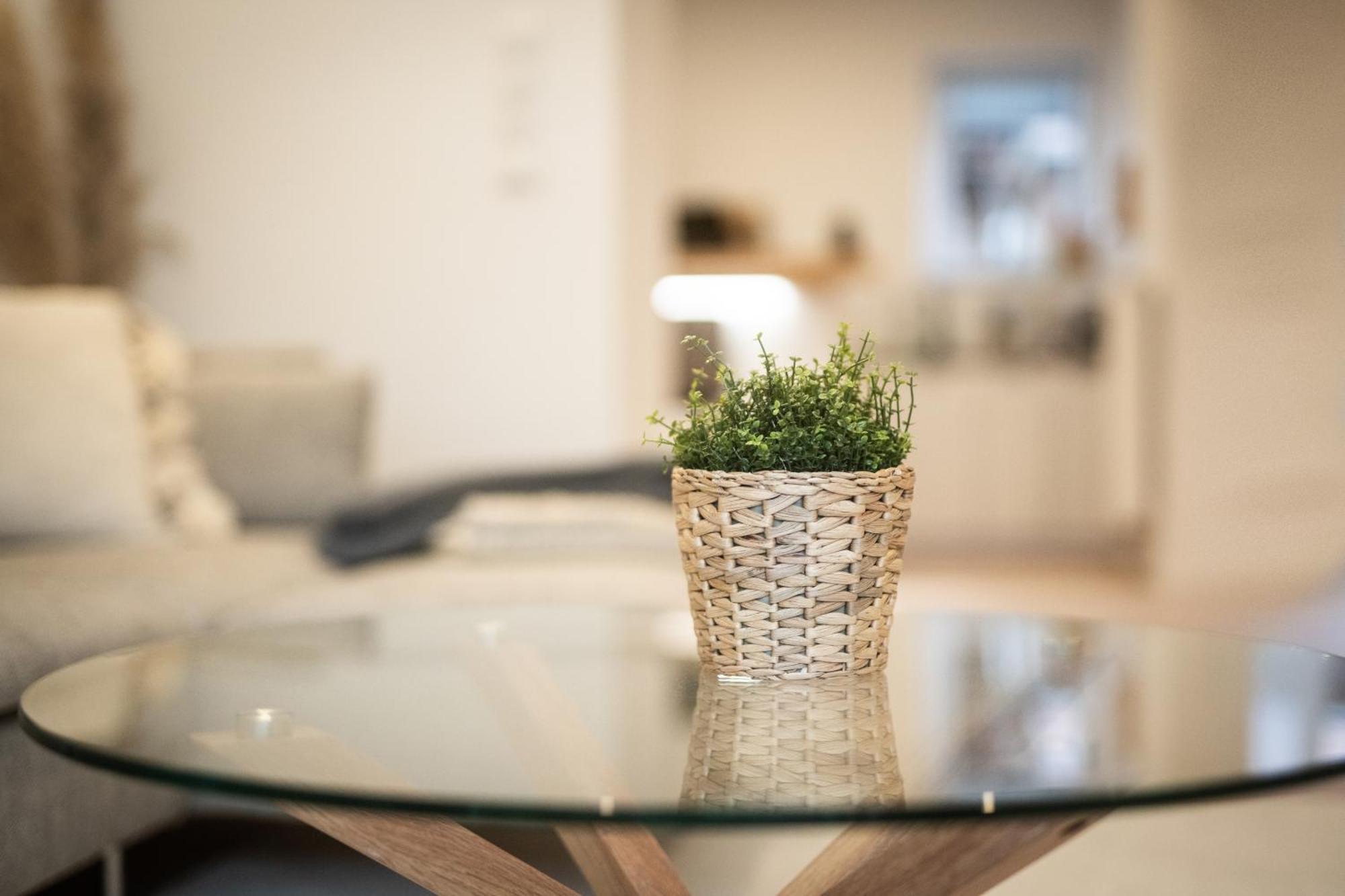 Appartement Oase Im Herzen Oberviechtachs